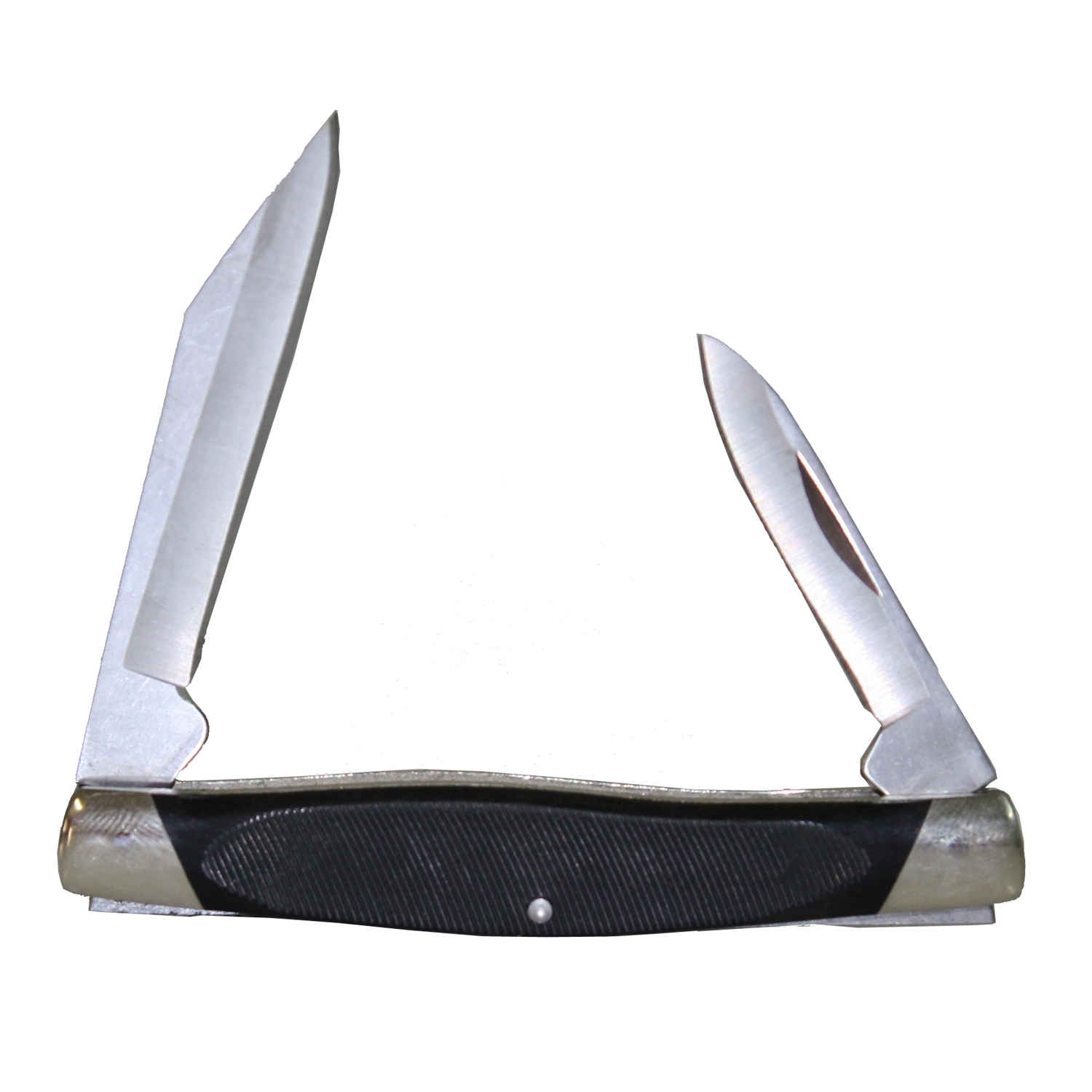 Buck 309BKS Companion Folding Pocket Knife 309 eBay